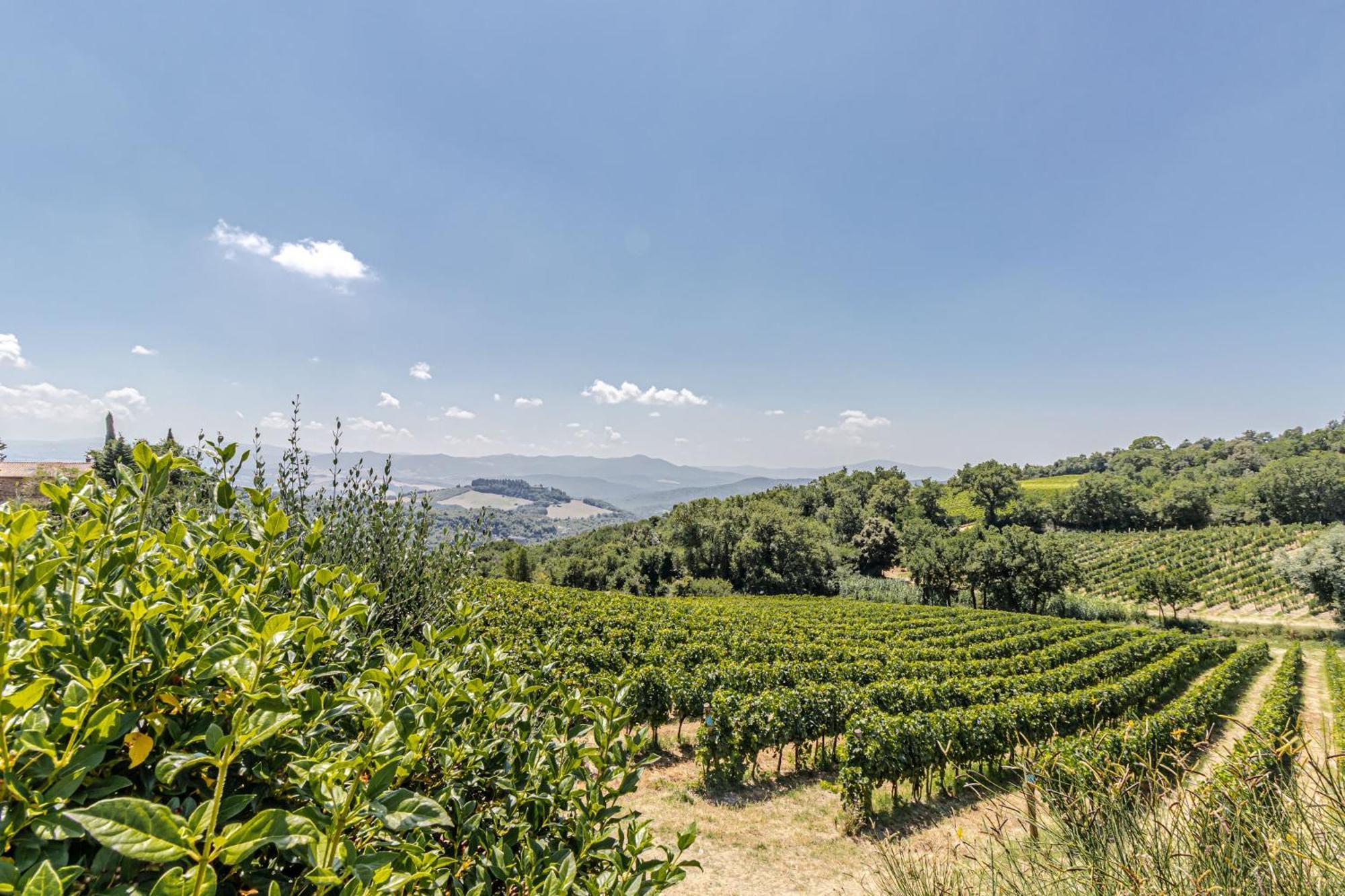 מונטה קטיני ואל די צ'צ'ינה Chateau La Siroque מראה חיצוני תמונה